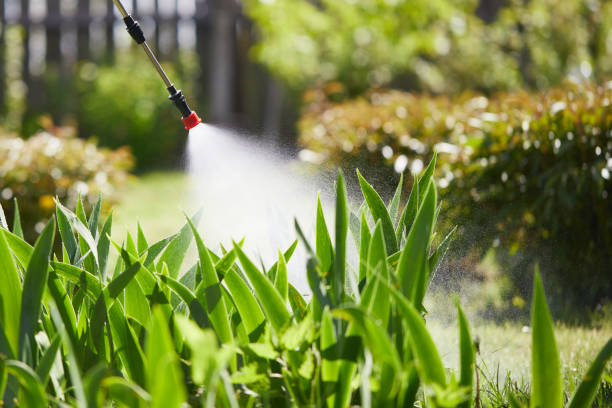 24/7 Emergency Fumigation Services experts in Warden, WA