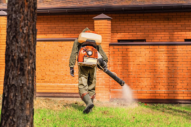 Trusted Mosquito Control service in Warden, WA - Nex Pest Control